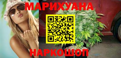 МДПВ Бийск