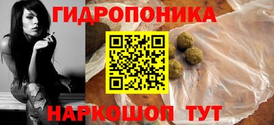 шишки Берёзовский