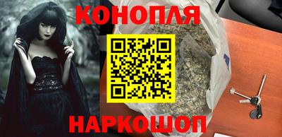 МДПВ Бийск