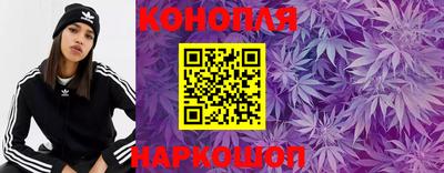 МДПВ Бийск