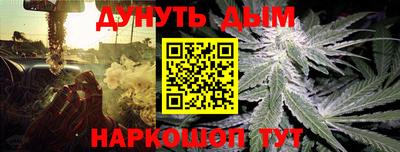 МДПВ Бийск