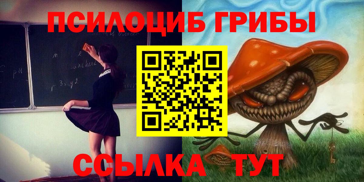 Псилоцибиновые грибы прущие грибы Губаха