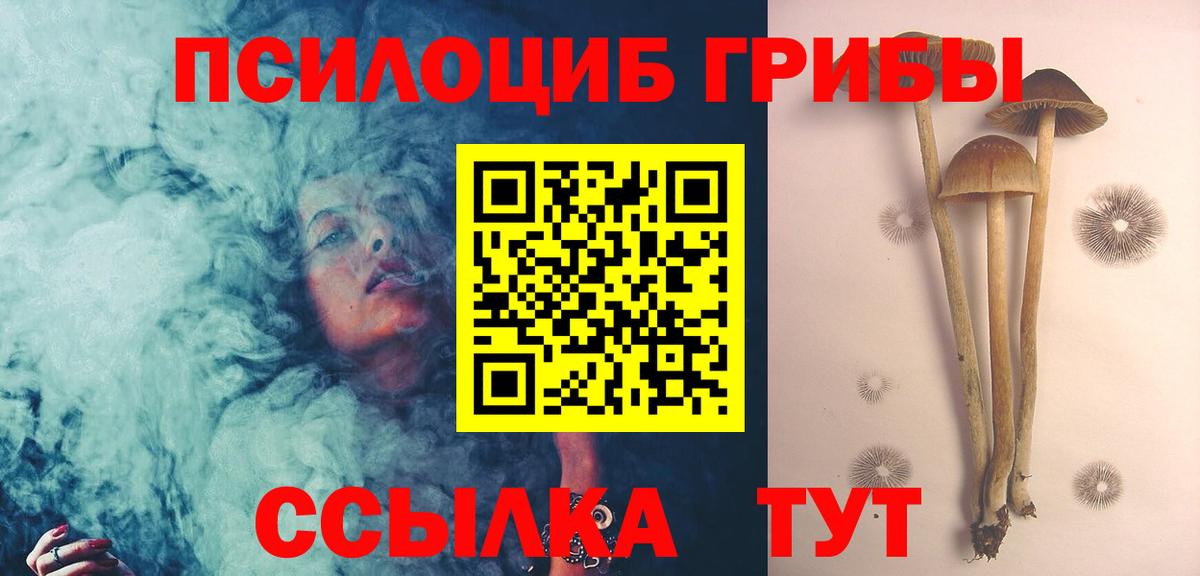 Губаха  Галлюциногенные грибы MAGIC MUSHROOMS  Вход с VPN 